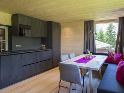 Umbau AV1070-GL Spachtelbeton graphit