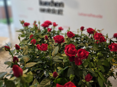 zum Muttertag